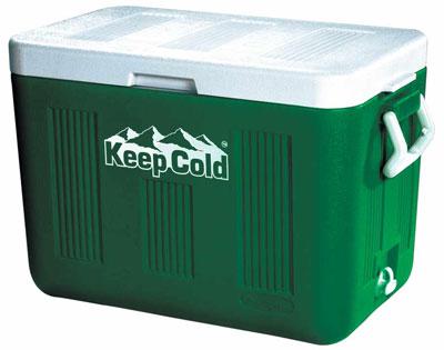 SEAPLAST Red Blue Biege Puf Insulated Plastic Ice Box, Capacity: 20 Ltr at  best price in Alappuzha